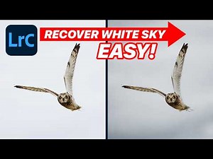 EASY TRICK to Fix WHITE SKIES in Lightroom Classic