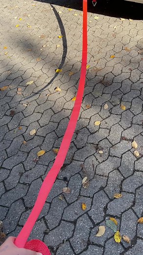 Exploring WENGELER Transport's Bright Red Flatbed Truck