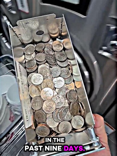 9 Days of Profits at My Laundromat | Year-Over-Year Returns