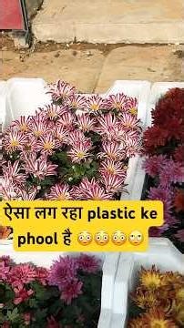 duniya ke 10 sabse durlabh fool 😳#ytshorts #youtubeshorts #saudiaarbia #narsaraopet