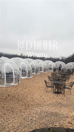 Red Heifer Winery produces small-batch wines that are pressed, fermented, aged, and bottled entirely on-site — creating a true farm-to-glass experience. With a focus on quality, craftsmanship, and community, it’s the perfect spot to slow down, sip, and enjoy Maryland wine country. 🍇✨ #winery #maryland #dmvtiktok #foodie #findfavs