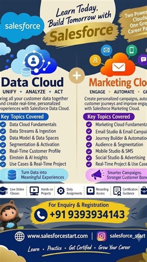 Salesforce Data Cloud + Marketing Cloud Training | Learn, Practice & Build Your Career