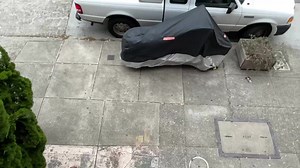 Highlight: Sidewalk Stream: DS1