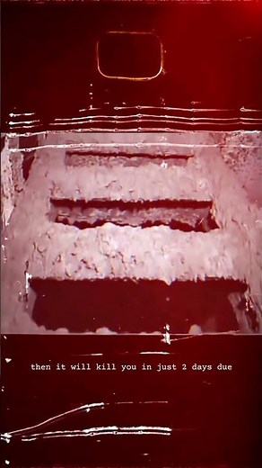 The Elephant Foot: Most Dangerous Object