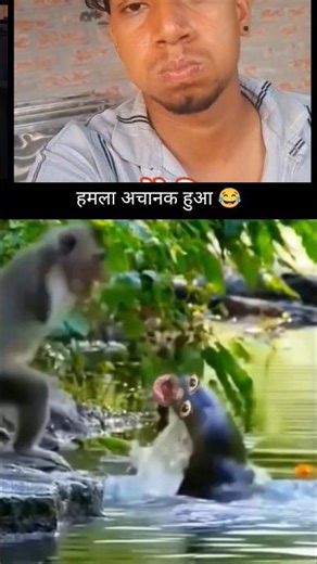 बंदर कि गुस्सा। #sorats #reaction #viralsorats