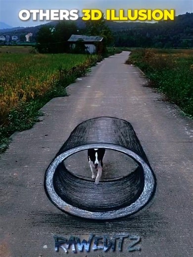 Others 3D Illusion VS The Last One