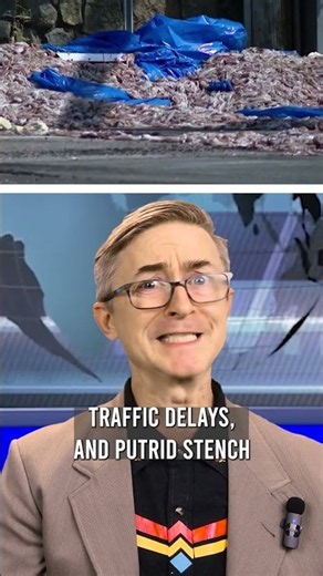 Unbelievable Scene in Rhode Island: What Caused This Road Chaos?