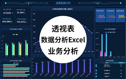 Tina老师用15天教你学会Excel可视化+函数+Excel数据透视表+Python业务分析