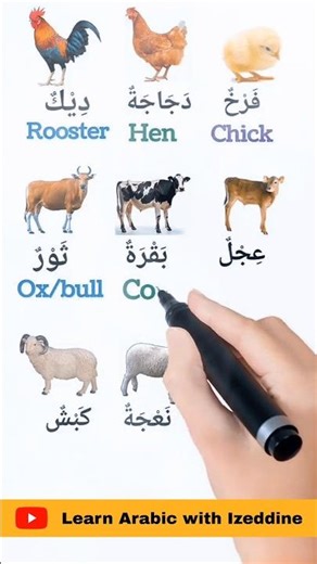 Learn Arabic FAST & EASY 🔥 | Speak Arabic Like a Native in Minutes!