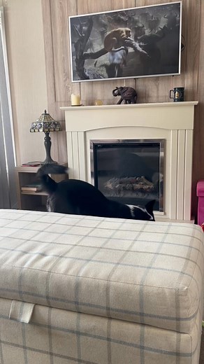 Barney kisses his lion cub and Mufasa toy when Simba lies down next to his Fallen Father. | Stephen Kelleher