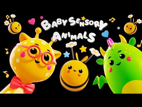 Baby Sensory Animals - Sensory Music Video for Babies and Toddlers | Fun Dance Animation with Music!