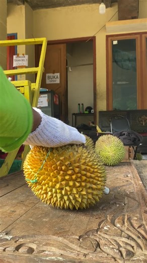 Udgts (@udgtsjavasugar)’s videos with suara asli - Udgts