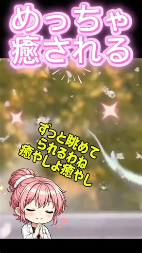 めっちゃ増えてない!? メダカに何が起きた？🐟