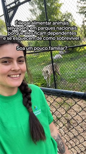 6incanada on Instagram: "Não estamos falando de animais selvagens. Na natureza, alimentar animais selvagens é proibido porque cria dependência. Eles deixam de caçar, de lutar, de sobreviver sozinhos. Na sociedade, o excesso de benefícios do governo pode causar o mesmo efeito. O que chamam de ajuda vira dependência. Assistencialismo eterno não acaba com a pobreza, administra a miséria. Mantém pessoas vulneráveis e fáceis de controlar. Quem controla o sustento, controla o comportamento. Justiça so