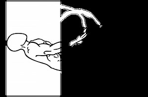 【ジャックナイフ】腹直筋を総合的に鍛えられる高強度自重トレーニング