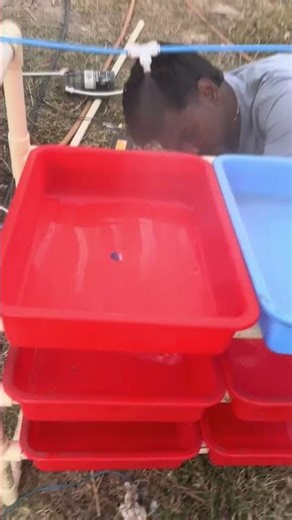 Day 1–11 Hydroponic Fodder Ready 🌱 | Corn & Mixed Seeds | HappyKrishi Farm