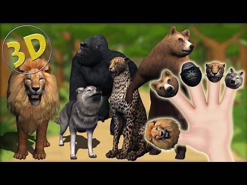 3D Wild Animals Finger Family | Daddy Finger 3D Nursery Rhyme | Animal Sketch Song For Children