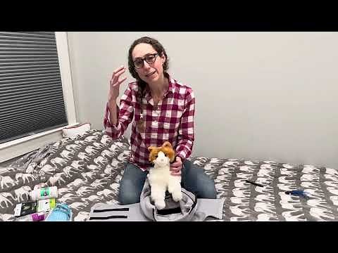 Tips for Success using your Calm & Cozy Cat Wrap