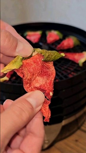 Making Watermelon Jerky 🍉