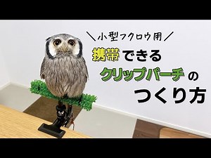小型フクロウ用に自作しろ！便利すぎる携帯用クリップパーチの作り方【予算3,000円】