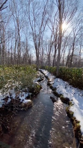 日本水百景🕹️支笏湖 屈斜路湖 ニセコ 京都