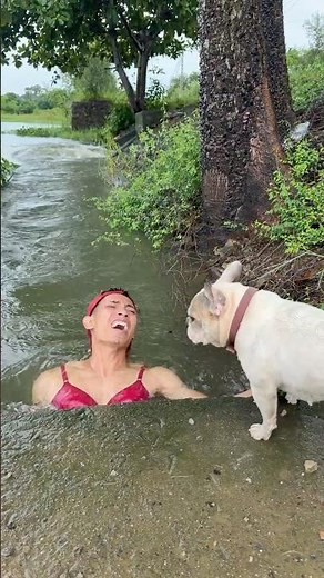 HERO DOG RESCUES BOY TRAPPED IN A FLOODED DRAIN! 🐶❤️🌊