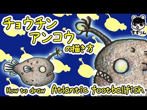 [Deep sea fish] How to draw Himantolophus [Easy and cute illustration]