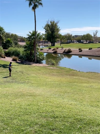 Disc Golf HQ - Phoenix on Reels