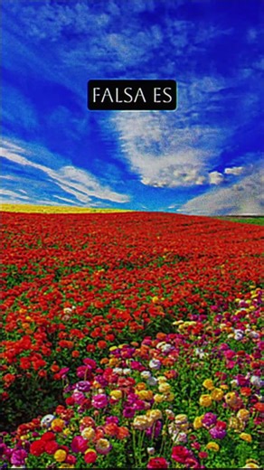 ¿Has estado en este sueño? ☁️✨ #shorts #viralshorts #dreamcore