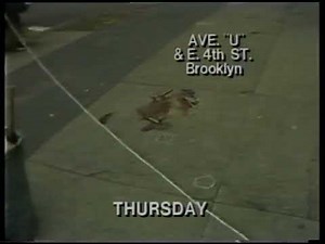 1978 Murder of Salvatore "Sally Bugs" Briguglio and several other Mob murders of the time