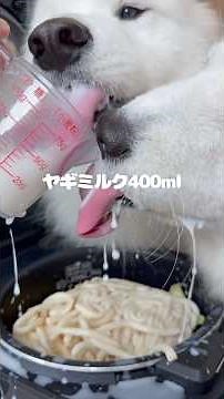 真っ白ポタージュうどんつくってる間にGiGOさんでクレーンゲームしました！#PR