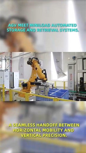 The Future of Warehousing: AGV & Miniload ASRS - Fully Automated Storage & Retrieval