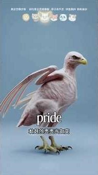 Ever Wondered What Animals Look Like Without Fur? 🦁🐼 (Shocking Transformations!) #wildliferescue