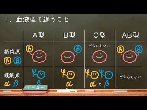 Home Biology 44. ABO Blood Groups (High School Biology)
