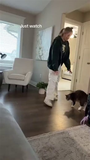 I live when cats talk back 🥹