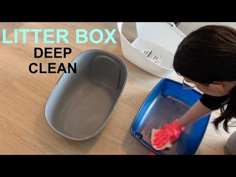 How I Deep Clean My Cat’s Litter Box (Living in an Apartment)