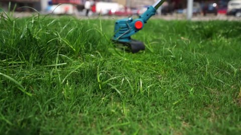 MAXMAN Weed Wacker, Weed Eater 21V 2 Pcs 4.0A Battery Powered, Cordless Brush Cutter, Grass Trimmer, Weedeater, Lightweight Trimmer Edger Lawn Tool for Yard, with 3 Saw Blades, 4 Metal Blades, Charger