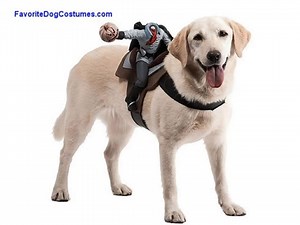 Fun Large Dog Halloween Costumes