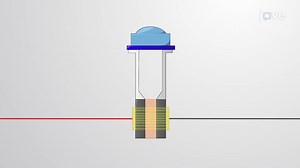 Organoid Electroporation: A Method to Transfect Plasmid DNA into Gastrointestinal Organoids