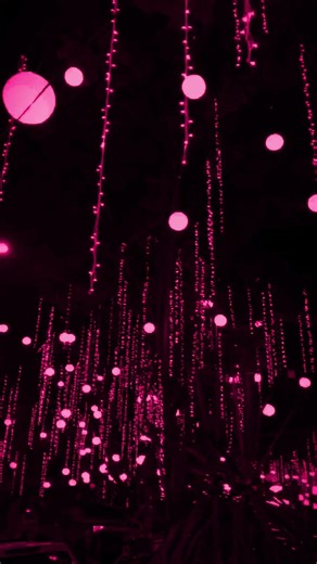 I love you so | lyrics | aesthetic | whatsapp Status | English songs | slowed |
