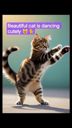 Beautiful Cat Dancing Cutely Will Melt Your Heart 😻💃"