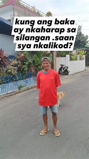 #palaisipan #Tanong | Tita Baby Vlog