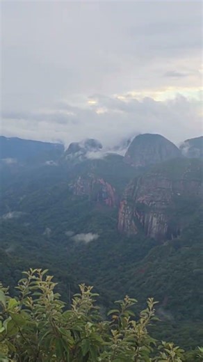 YanaPuma Reserve , South Amboro National Park