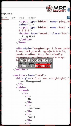 How I Obtained ALL The Flags With a Simple GREP Command