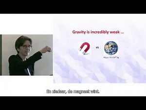 Symposium: the Road to Reality (22.01.2019), part III - Prof. Renate Loll