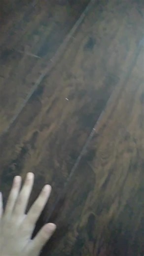 fake unboxing fidgets! on TikTok