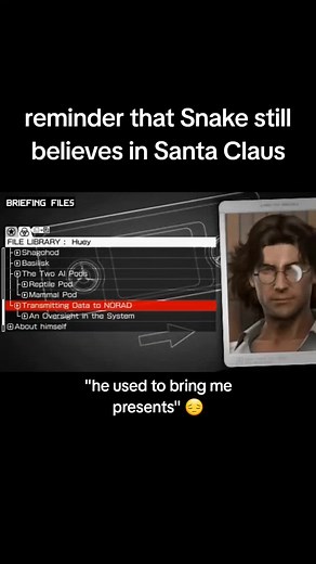 Snake and the US Homeland Air Defense Network