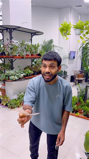 Humanity Above All | Eid Message of Unity & Love