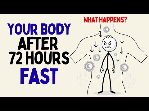 What Happens to Your Body If You Fast for 72 Hours? (Science Explained)