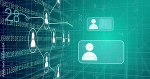 Animating network connections and data processing over digital profiles and graphs